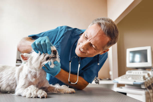 Best Emergency Gum Treatment in Oak Hill, OH