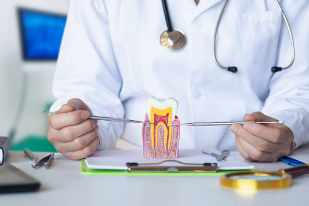 Best Emergency Dental Care for Broken or Chipped Teeth in Oak Hill, OH